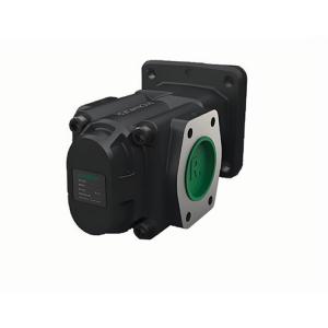 RICKMEIER_R36/80 FL-Z-WD-SAE2-R 齿轮泵