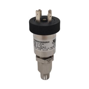 GEMS_3200S0250S05GR00 压力变送器